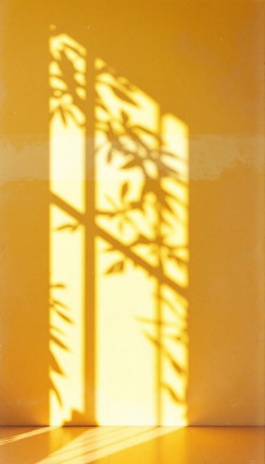 Download Sunlit Shadow Dance Image - Sunshine, Shadows, Vintage | StockCake