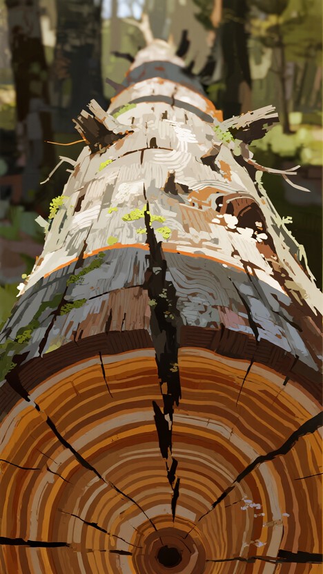 Tree Rings Collage Free Rings of time Image - Rings, Tree, Stump | Download at StockCake