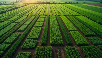 Free Precision Farming View Image - Agriculture, Aerial, Crops ...