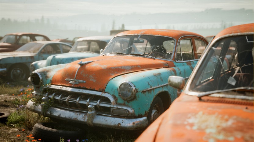 Free Forgotten Car Cemetery Image - Vintage, Cars, Rust | Download at ...