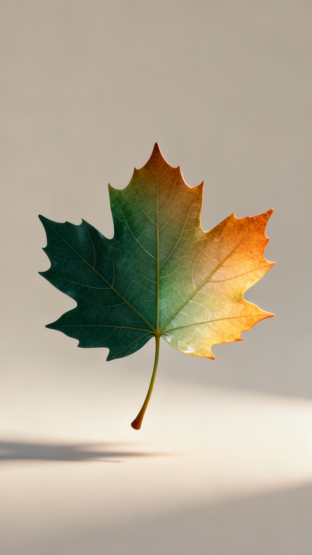 Free Floating Autumn Gradient Image - Maple, Leaf, Autumn | Download at ...