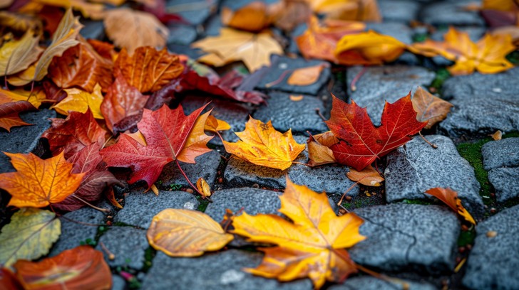 Free Autumn Leaves Paved Image - Autumn, Leaves, Cobblestone | Download ...