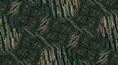 Free Forest Texture Pattern Photo - Texture, Pattern, Bark | Download ...