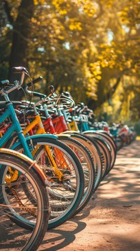 Nice Color Bycycle Free Colorful Bicycles Lined Image - Bicycles, Colorful, Outdoors ...