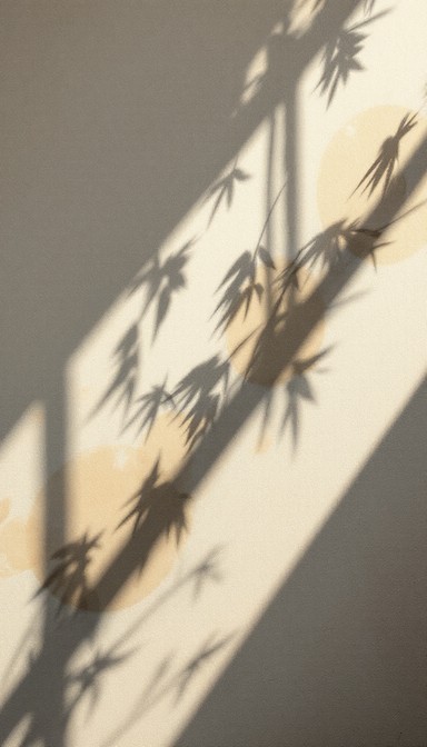 Free Shadows and Butterflies Image - Minimal, Zen, Butterfly | Download ...