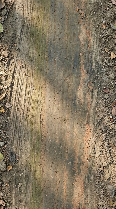 Free Earthwork Texture Stock Images | StockCake