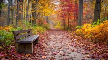 Free Autumn Bench Scene Image - Autumn, Bench, Foliage | Download at ...