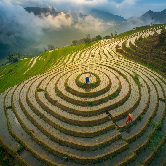 Free Circular Rice Terraces Image - Agriculture, Terraces, Rice ...