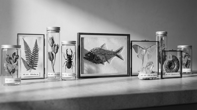 Scientific Sample Collection Free Scientific Specimen Collection Image - Laboratory, Specimens ...