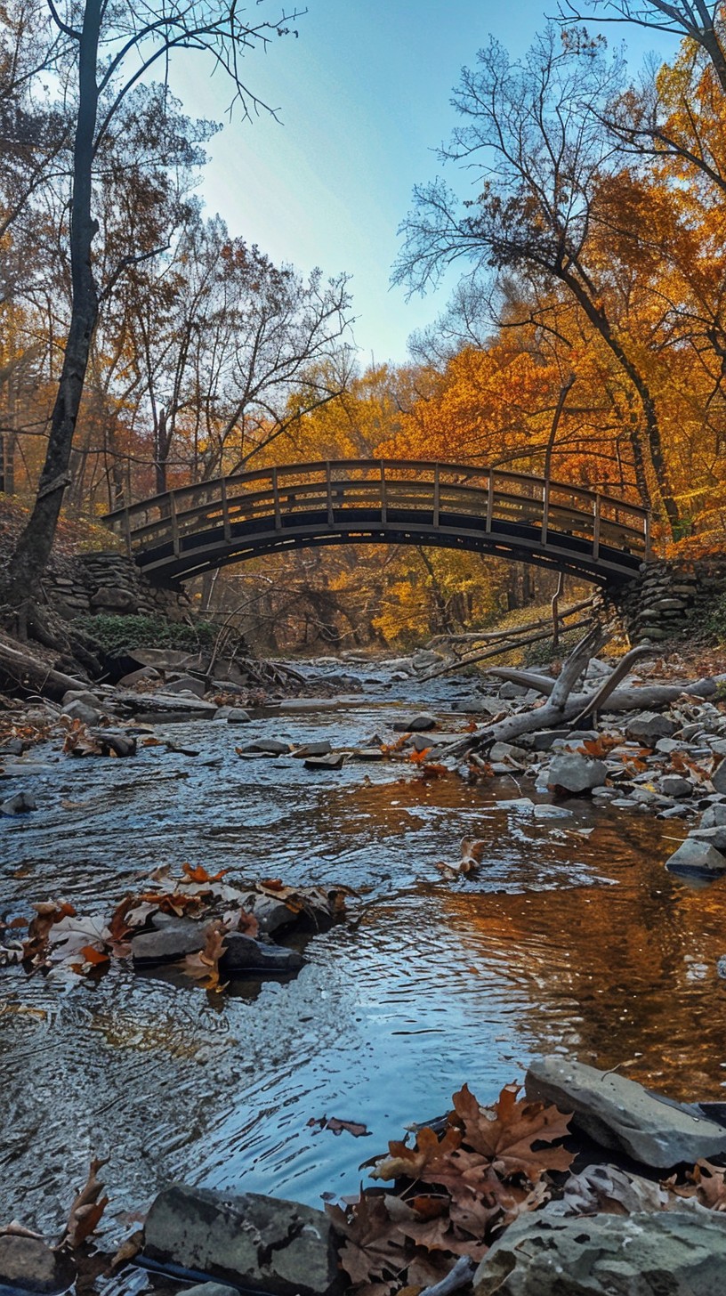 Free Autumn Bridge View Image - Autumn, Bridge, Stream | Download at ...