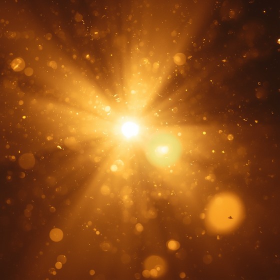 Magic Golden Hour Free Golden Hour Magic Image - Golden, Amber, Bronze | Download at ...