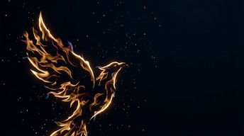 Free Rising Phoenix Flames Image - Phoenix, Rebirth, Transformation ...