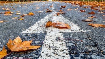 Autumn Stage Rd Free Autumn Road Journey Image - Autumn, Road, Leaves | Download at ...