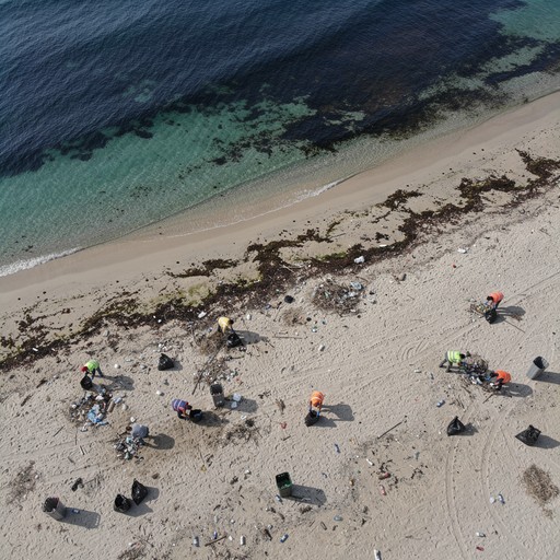 Free Beach Cleanup Mission Image - Beach, Cleanup, Volunteers ...