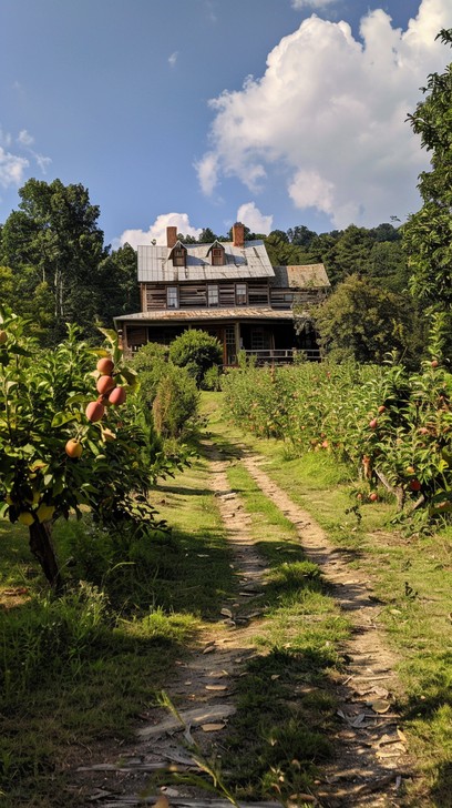 Free Rustic Orchard Home Image - Rustic, Orchard, House | Download at ...