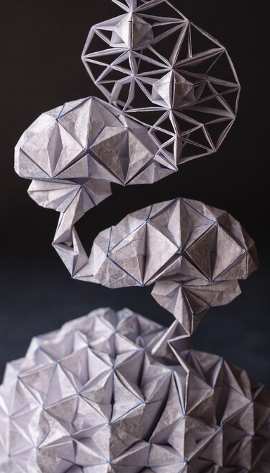 Free Folded Brain Architecture Image - Origami, Brain, Sculpture ...