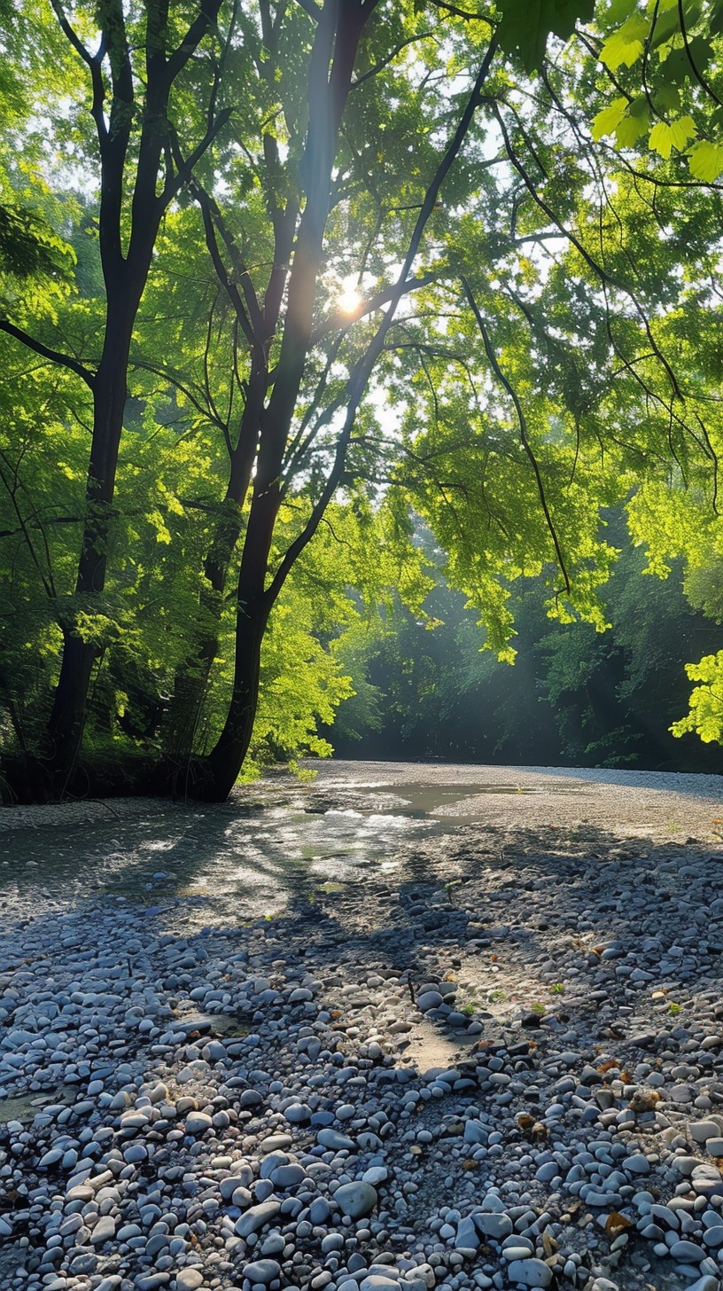 Free Sunlit Forest Path Photo - Sunrise, Forest, Tranquility | Download ...