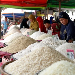 Free Rice Market Activity Image - Market, Rice, Shopping | Download at ...