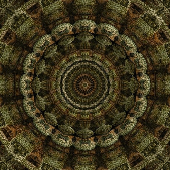free-fractal-nature-mandala-photo-fractal-pattern-nature-download