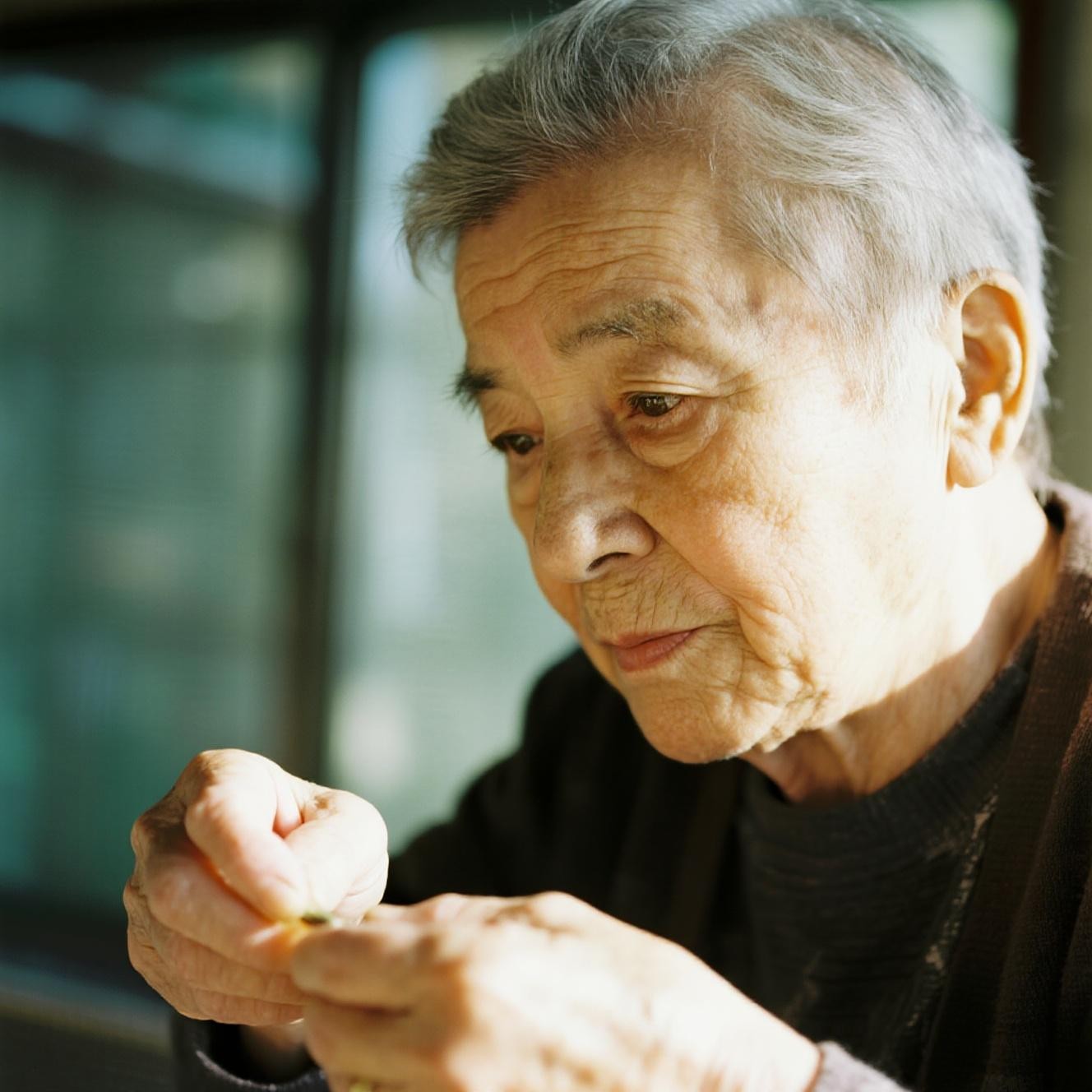 Wisdom Hand Free Wisdom In Hands Image - Elderly, Wisdom, Hands | Download at StockCake