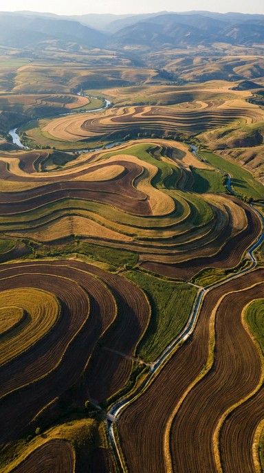 Free Contoured Farmland Patterns Image - Farmland, Agriculture, Aerial ...