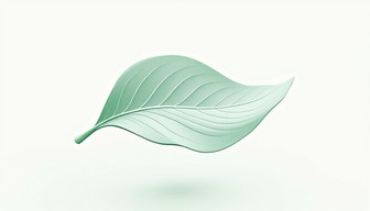 Free Minimal Floating Leaf Image - Leaf, Minimal, Floating | Download ...