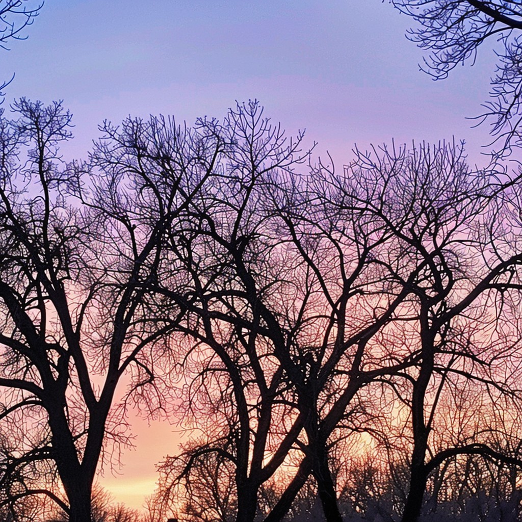 Free Sunset Silhouetted Trees Image - Sunset, Trees, Sky | Download at ...