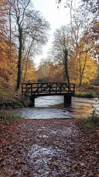 Free Autumn Bridge View Image - Autumn, Bridge, River | Download at ...