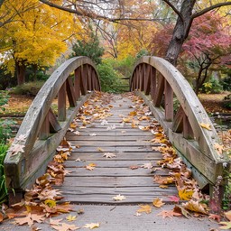 Free Autumn Bridge Path Image - Autumn, Bridge, Leaves | Download at ...