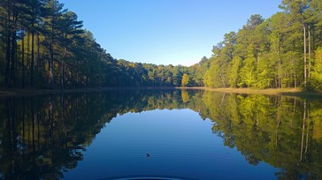 Free Serene Lake View Image - Lake, Forest, Tranquil | Download at ...