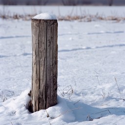 Free Snowy Wooden Post Image - Winter, Snow, Field | Download at StockCake