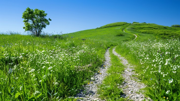 Spring Nature Path Free Springtime Nature Walk Image - Spring, Nature, Landscape ...