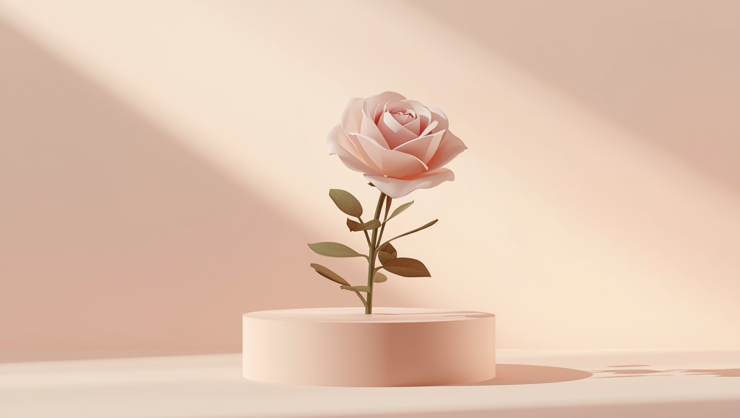 Free Blush Rose Display Image - Rose, Flower, Pink | Download at StockCake