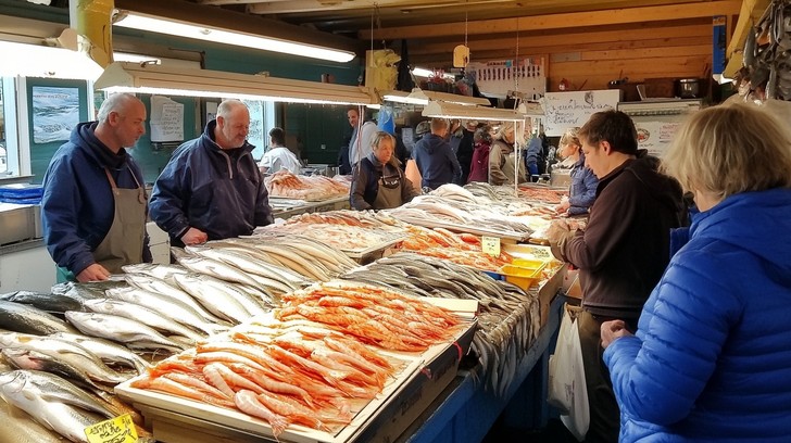 Free Bustling Fish Market Image | Download at StockCake