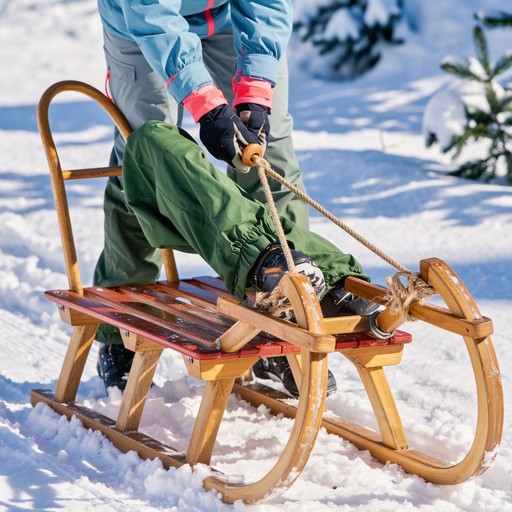 Sled Riding Images Free Vintage Sledding Joy Image - Sledding, Winter, Snow | Download at ...
