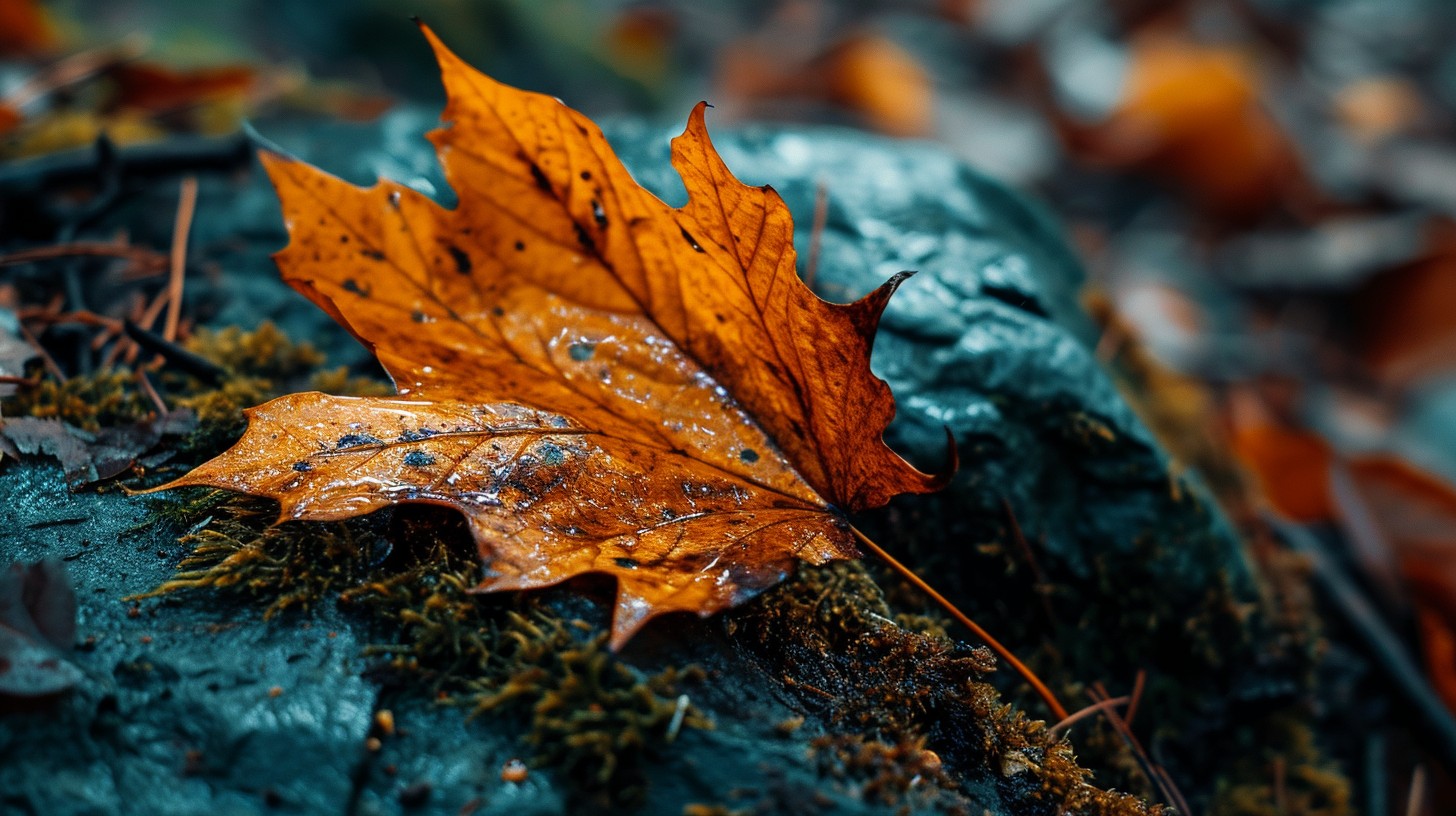 Free Autumn Leaf Detail Image - Autumn, Leaf, Nature | Download at ...