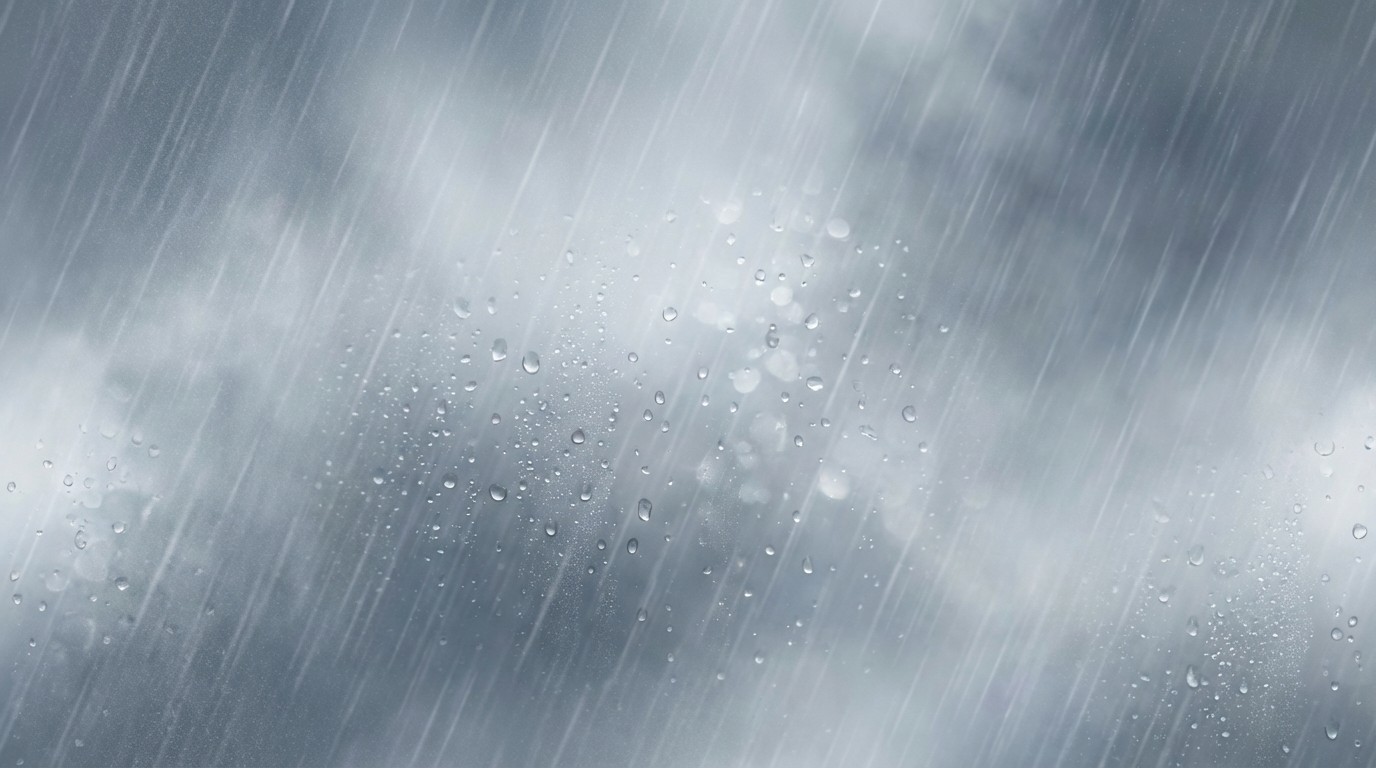 Free Misty Rain Atmosphere Image - Rain, Mist, Droplets | Download at ...
