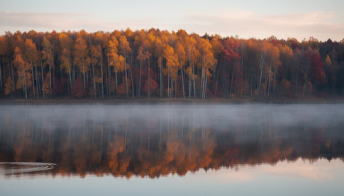 Free Autumn Forest Reflections Image - Autumn, Forest, Lake | Download ...
