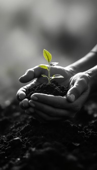Free Life Begins Here Image - Growth, Nurture, Hope | Download at StockCake