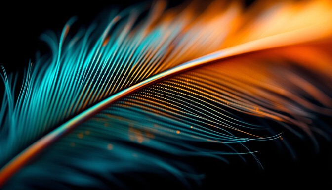 Free Iridescent Feather Detail Image - Macro, Feather, Iridescent ...
