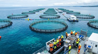 Fish Farming Background Free Sustainable Fish Farming Image - Aquaculture, Fishing, Farming ...
