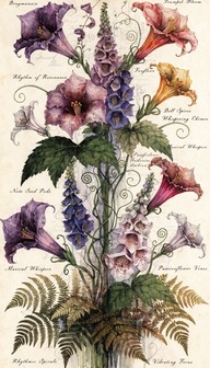 Download Botanical Music Stock Images for Free | StockCake