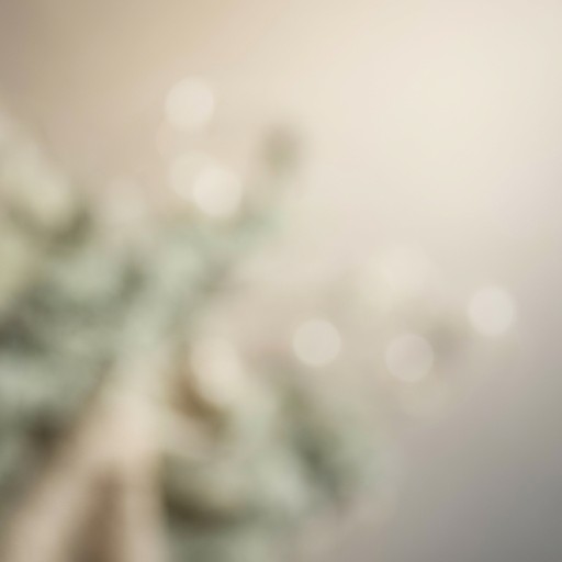 Free Elegant abstract wallpaper Image - Abstract, Elegant, Beige ...
