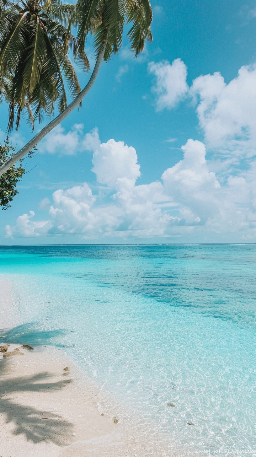 Free Tropical Beach Escape Image - Tropical, Beach, Paradise | Download ...