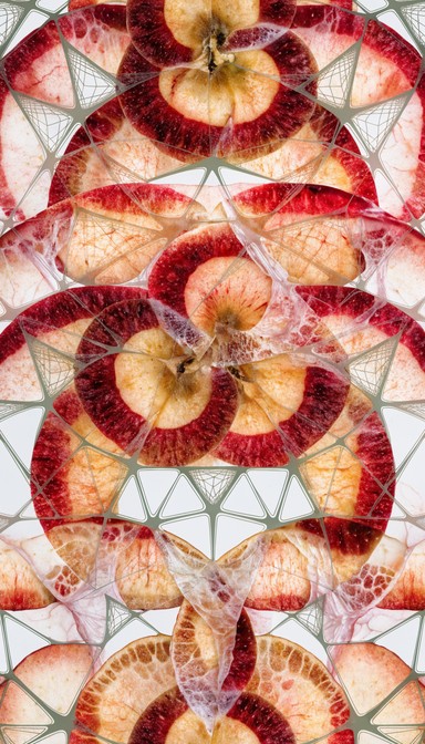 Free Descending Apple Slices Image - Apple, Slices, Fruit | Download at ...