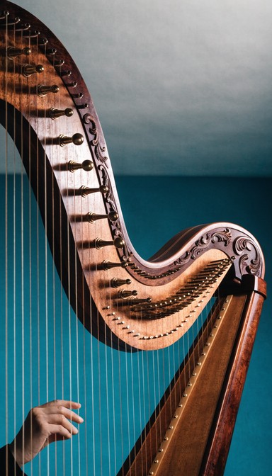 Free Elegant harp close-up Image - Harp, Music, Strings | Download at ...