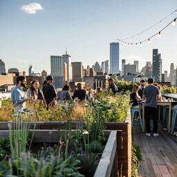 Open Rooftop Party Free Urban Rooftop Gathering Image - Rooftop, Gathering, City ...