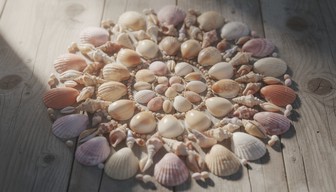 Sea Shell Wood Pattern Free Seashell Art Display Image - Seashells, Shells, Pattern | Download ...