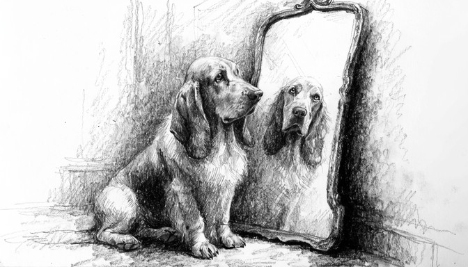 Dog Reflection Drawing Free Soulful Mirror Reflection Image - Dog, Graphite, Sketch | Download ...