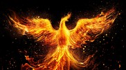 Phoenix Rising Authority Free Phoenix Rising Triumphantly Image - Phoenix, Rebirth ...